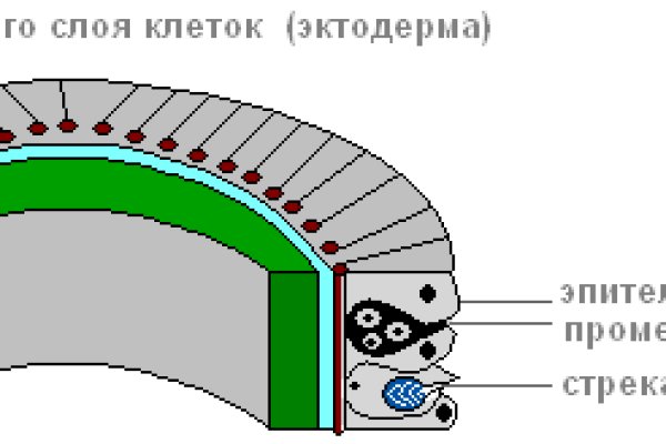 Что такое кракен наркотик