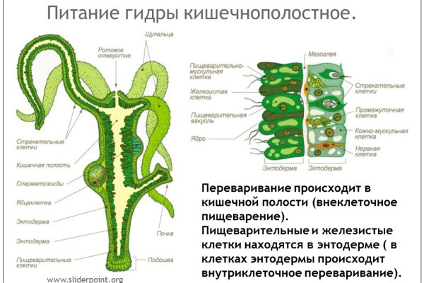 Что такое даркнет кракен