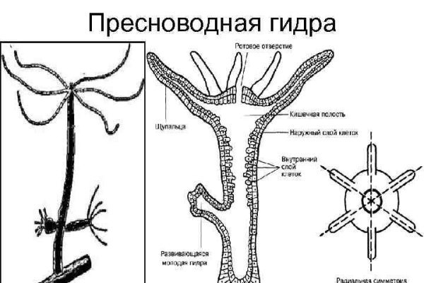 Кракен kr2connect co